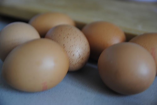 Receta de tortilla de patata paso a paso